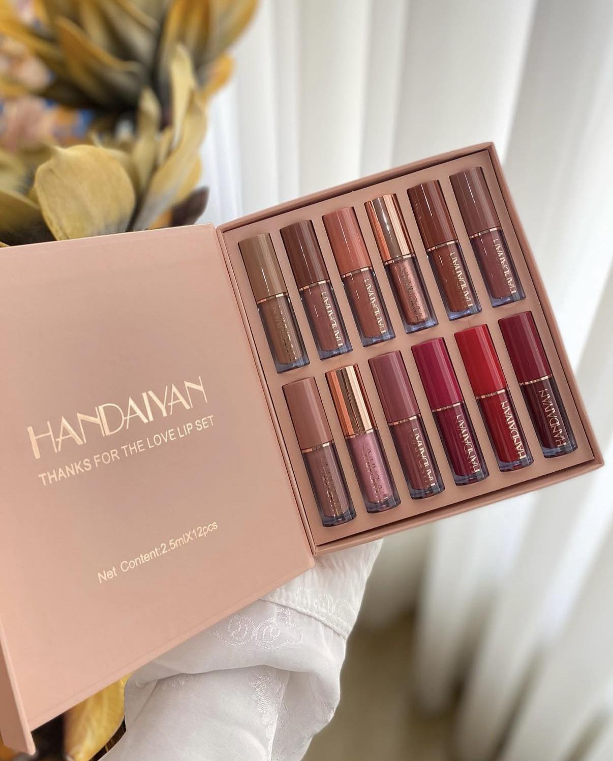 HANDAIYAN 12pcs Lipstick & Lip Gloss Set (V1)