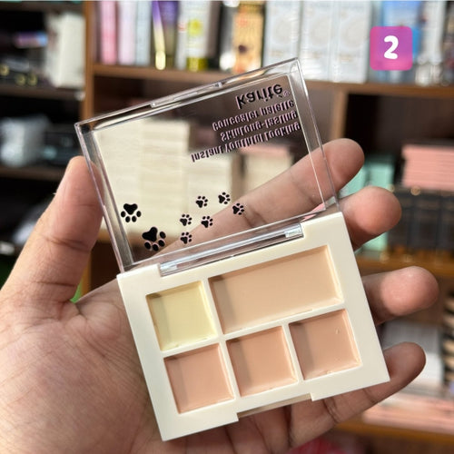 5 in 1 Concealer - Karite 100% Waterproof